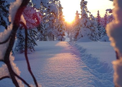 Lappland Ruhe Abenteuer Cabins Urige Blockhütten zum Entspannen Winterlandschaft