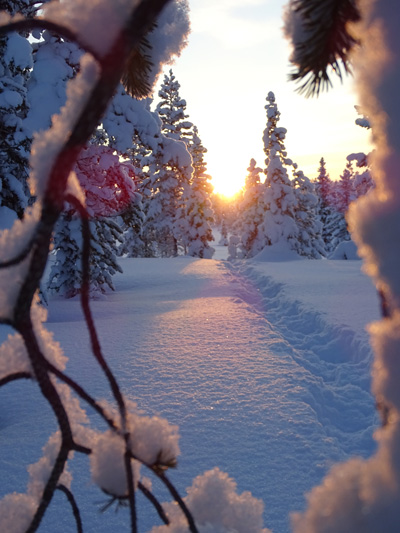 Aktivitäten im Winter
