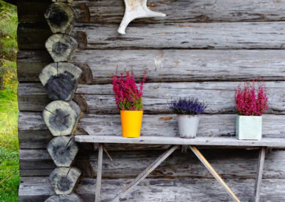 Lappland Ruhe Abenteuer Cabins Urige Blockhütten zum Entspannen