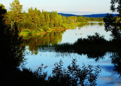 Lappland Ruhe Abenteuer Cabins Urige Blockhütten zum Entspannen Sommer See