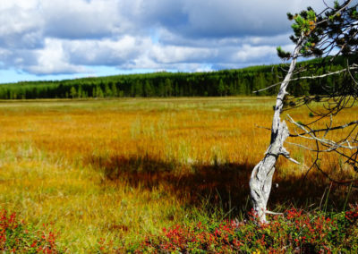 Lappland Ruhe Abenteuer Cabins Urige Blockhütten zum Entspannen