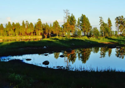 Lappland Ruhe Abenteuer Cabins Urige Blockhütten zum Entspannen Sommer See